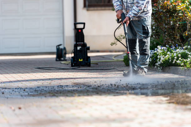 Best Roof Pressure Washing  in Elizabethville, PA